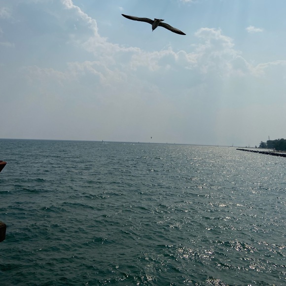 Meet your Posher, Suzanne - Picture 1 of 1